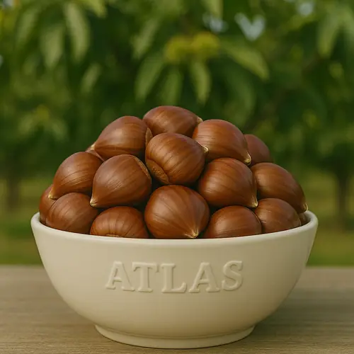 Bulk Aydın chestnuts packed for export